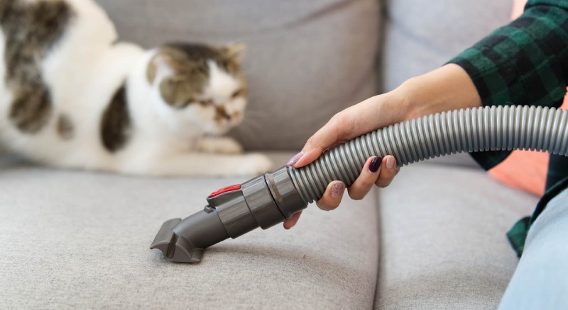 7 Clever Tips to Clean Up Pet Hair around Your House