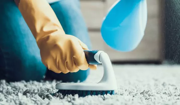 cropped picture of a person cleaning a carpet
