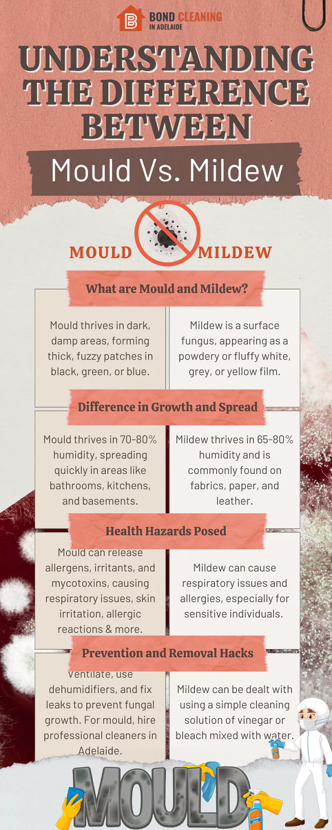 mould and mildew cleaning tips