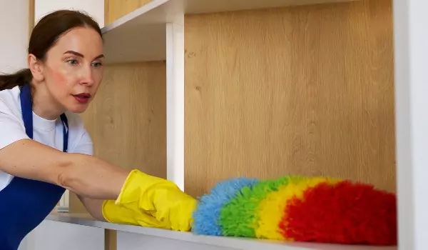tips for dusting a house