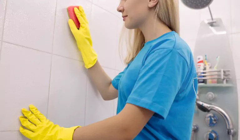 Best Shower Cleaner for Mould, Mildew & Soap Scum