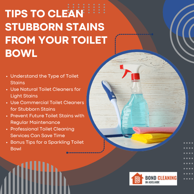 Infographic For Tips to Clean Stubborn Stains from Your Toilet Bowl