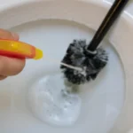 Cropped image of person cleaning toilet bowl