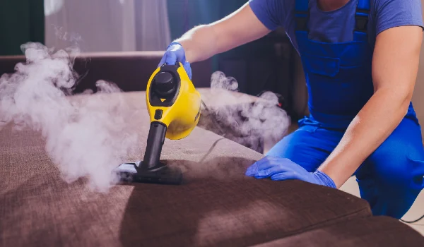 Dry cleaner's employee removing dirt from furniture in flat, closeup