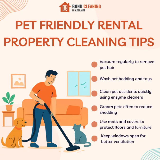 Pet Friendly Rental Property Cleaning Tips