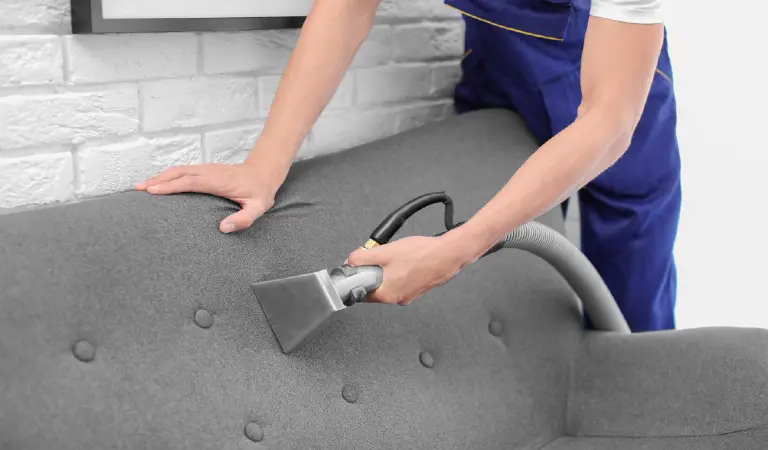 Dry cleaning worker removing dirt from sofa indoors