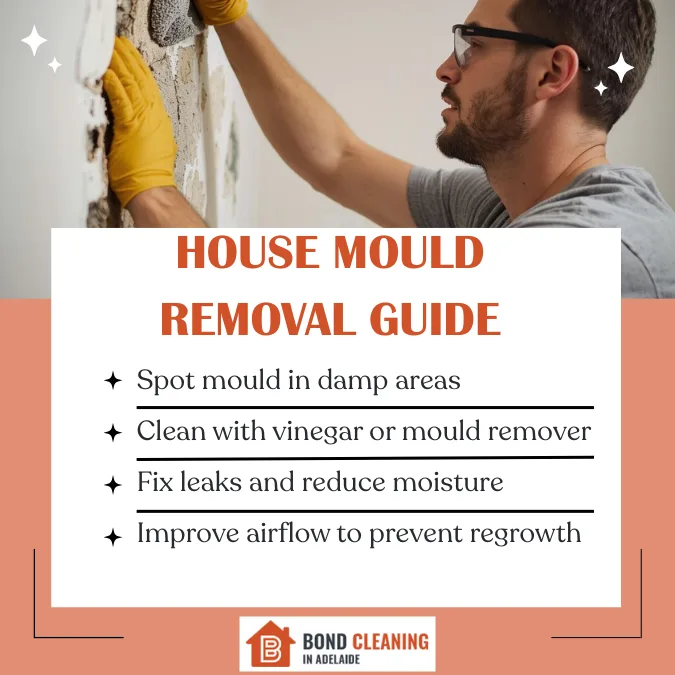 House Mould Removal Guide