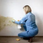 Portrait of woman sitting on floor and cleaning the mould on wall